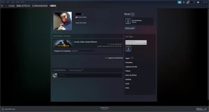 CONTA STEAM 2008(14 ANOS)