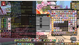 Conta No Gf Violet - Grand Fantasia