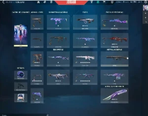 Conta de valorant com diversas skins