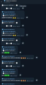 Blaze Branco 14X - Sem Margem E Sem Gale - Outros