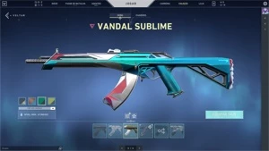 Conta Valorant Várias Skins, Super barato.