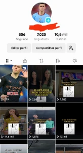 Conta Tiktok Com 7000 Seguidores Brasileiros Reais 🇧🇷 - Redes Sociais