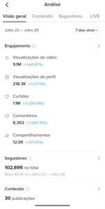CONTA DO TIKTOK COM MAIS DE 100 MIL SEGUIDORES - Redes Sociais