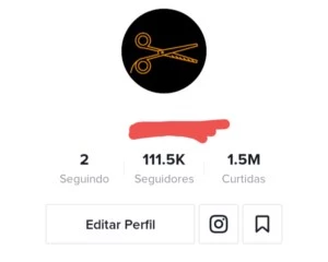 CONTA DO TIKTOK COM MAIS DE 100 MIL SEGUIDORES - Redes Sociais