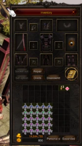 Megamu - 25 Seeds Lv10 De Set Dmg - MU Online