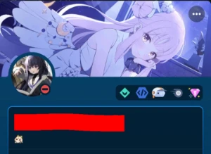 Conta Discord Pig / Nitro / Bot Developer / Bravura