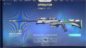 Conta de valorant + Skins...