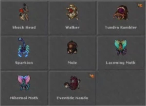 RP 570+ CELEBRA NON-PVP AMARELO - Wakfu
