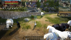 Black Desert Conta