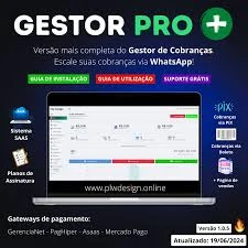 Chegou O Painel Gestor Pro Plus Com Api Integrado 2.0 - Outros