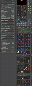 RP lvl 303 Tibia em Descubra