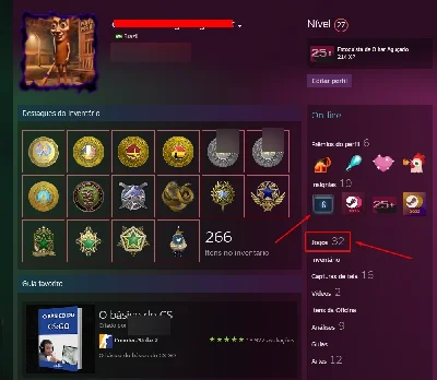 Conta extremamente rara 6 anos impecavel 6.495 horas de jogo - Outros