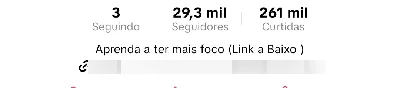 Tik tok 29 mil seguidores - Redes Sociais