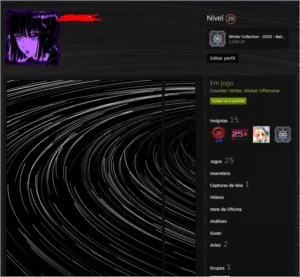 Conta steam nivel 29 700+ csgo 600 horas r6 2 skins e prime - Counter Strike