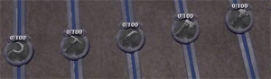 ALBION lvling up coletas t5 1/100 - Albion Online