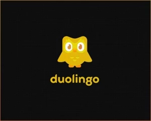 DUOLINGO PLUS VITALICIO - Assinaturas e Premium