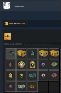 Conta CSGO Medalha 2017 e Prime - Counter Strike