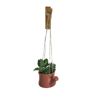 Cachepot regador terracota com suporte de parede - Artesanato e Personalizados