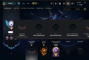 Ferro 2 com TODOS os Champs e 101 Skins ( SUP / ADC ) - League of Legends LOL