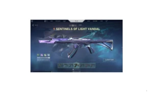 Conta League of Legends l TFT l Valorant l LOL