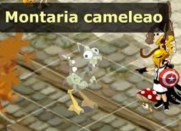 Qualquer montaria CAMALEÃO (HELIOBOROS) - Dofus