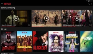 Netflix Premium ( CONTA VITALICIA ) - Outros