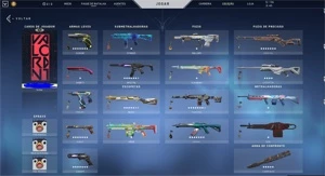 Conta Plat2 full skins e 6 passe - Valorant