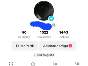 Conta Tiktok - 1K De Seguidores - Redes Sociais