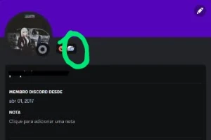 Troco conta de 2017 Discord é 20 reais por outro e Insigna. - Outros