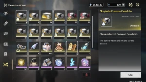 wuthering waves conta bem cuidada e upada - Outros