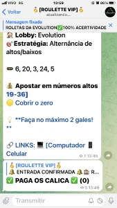 Robo Da Roleta Evolution✅✅ - Outros