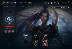 Conta Lol - 171 Skins, Elise Vitoriosa, Espólio Lotado, 360K - League of Legends