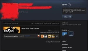 CONTA CS:GO 100HRS - Águia 1 - 55 Vitórias - Com Prime! - Counter Strike