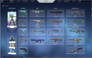 Conta Valorant Platina/gold com varias skins