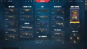 Conta Valorant Radiant Com Skins