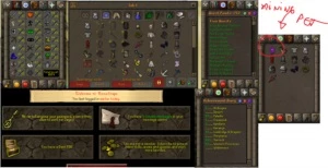 oldschool runescape account lvl 120 com pet RS