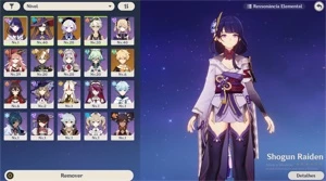 GENSHIN IMPACT -NA- PC & MOBILE -AR 20-RAIDEN, KEQING +12 4⭐