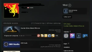 Conta Csgo Prime │ Ptt Ak X │ 4 Anos Steam - Counter Strike