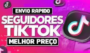 100 Seguidores por 10 reais instagram/tiktok