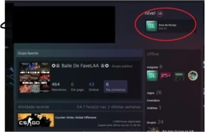 Steam 16 anos Prime Medalhas +Skins