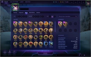 Blizzard Account Overwatch, Hearthstone, Heroes of the Storm