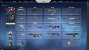 valorant+800 reias gastos skin saqueadora  (negociar preço)