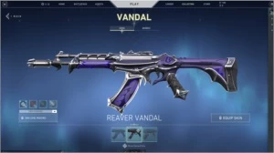 valorant+800 reias gastos skin saqueadora  (negociar preço)