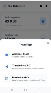 Gateway de Pagamento Pixup / Bspay - Outros