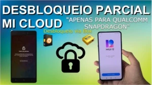 Desbloqueio Parcial Xiaomi Cloud (Via Team Viewer) - Redes Sociais