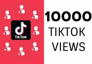 tiktok views - 50k de views