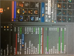 ROYAL PALADIN 333 (DESCUBRA) e ELDER DRUID 230 GENTEBRA - Tibia