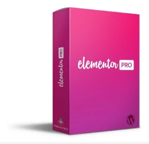 Pack Web Designer Worpress e Elementor Pro + pack lading pag - Outros