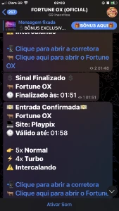 Fortune Ox🐯 - Outros