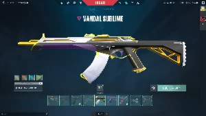 Conta Valorant +1500 gastos